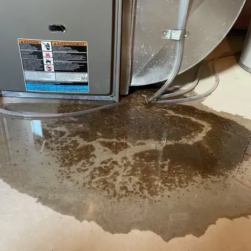 Appliance Leak Cleanup in Jones Creek, TX